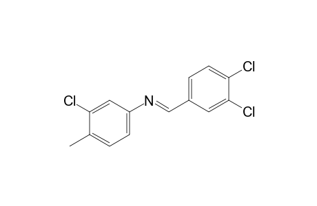 3-chloro-N-(3,4-dichlorobenzylidene)-p-toluidine