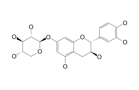 (+)-CATECHIN-7-O-BETA-D-XYLOPYRANOSIDE