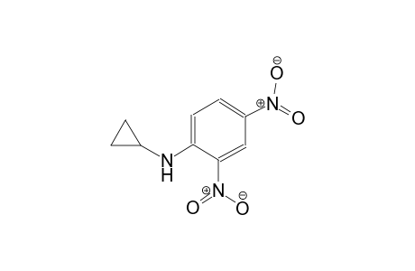 N-cyclopropyl-2,4-dinitroaniline