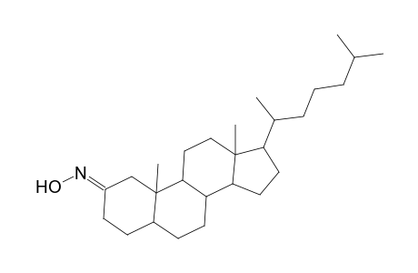 5.alpha.-Cholestan-2-one, oxime