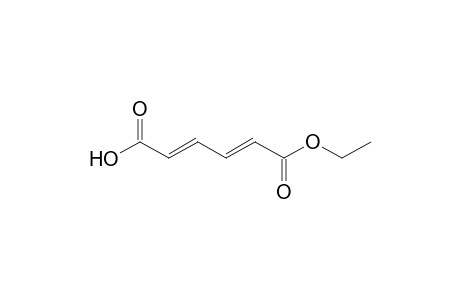 (2E,4E)-hexadienedioic acid monoethyl ester