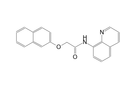 2-(2-naphthyloxy)-N-(8-quinolinyl)acetamide