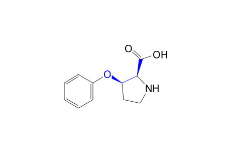 cis-3-phenoxyproline (racemic)