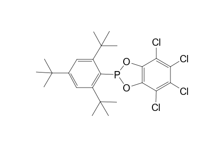 3,4,5,6-Tetrachlorobenzo-2-(2,4,6-tri-tert-butylphenyl)-1,3,2-dioxaphospholane