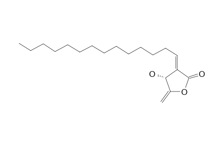 ISOLINDERANOLIDE-B;(3R,2E)-3-HYDROXY-4-METHYLENE-2-TETRADECYLIDENE-BUTANOLIDE