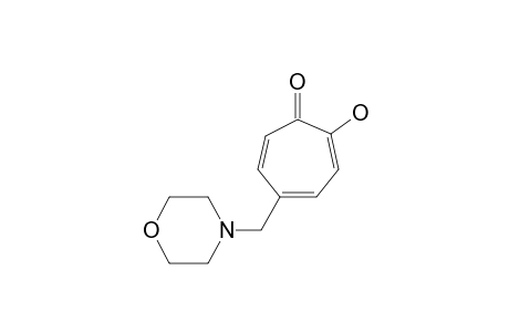 2-Hydroxy-5-morpholinomethyl-2,4,6-cycloheptatrien-1-one