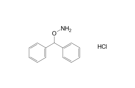 o-(diphenylmethyl)hydroxylamine, hydrochloride