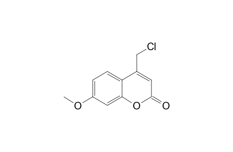 4-(chloromethyl)-7-methoxy-1-benzopyran-2-one