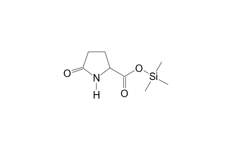 Pyroglutamic acid TMS