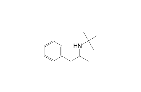 2-Methyl-N-(1-methyl-2-phenyl-ethyl)propan-2-amine