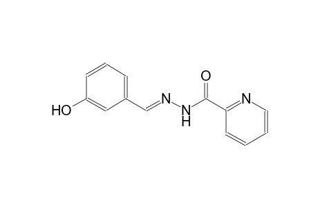 2-pyridinecarboxylic acid, 2-[(E)-(3-hydroxyphenyl)methylidene]hydrazide