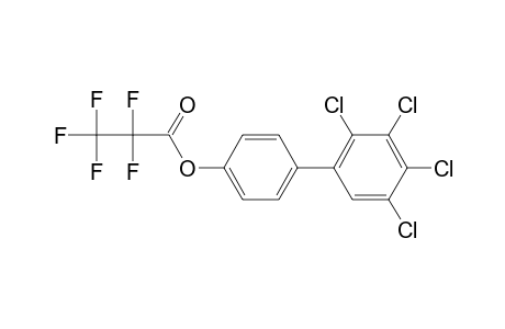 4-Hydroxy-2',3',4',5'-tetrachlorobiphenyl, pentafluoropropionate