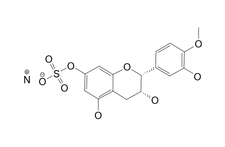 4'-O-METHYLEPICATECHIN-7-SULFATE_AMMONIUM_SALT