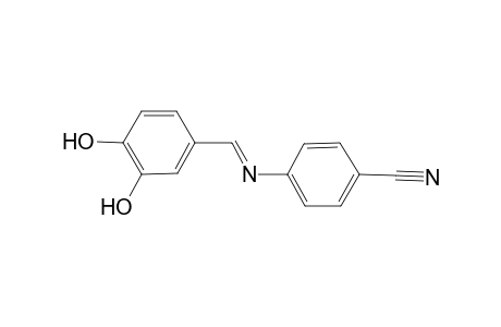 4-([(E)-(3,4-Dihydroxyphenyl)methylidene]amino)benzonitrile