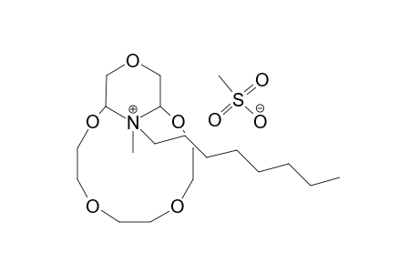 N-methyl-N-octylmorpholinium 12-crown-4 ether methyl sulfate