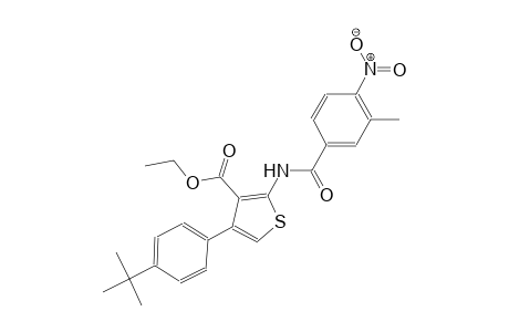 ethyl 4-(4-tert-butylphenyl)-2-[(3-methyl-4-nitrobenzoyl)amino]-3-thiophenecarboxylate