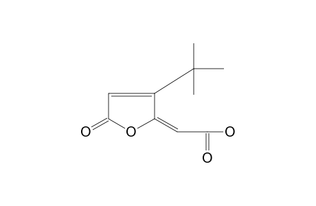 3-tert-BUTYL-5-OXO-delta2(5H),alpha-FURANACETIC ACID