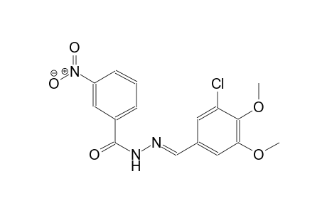 N'-[(E)-(3-chloro-4,5-dimethoxyphenyl)methylidene]-3-nitrobenzohydrazide