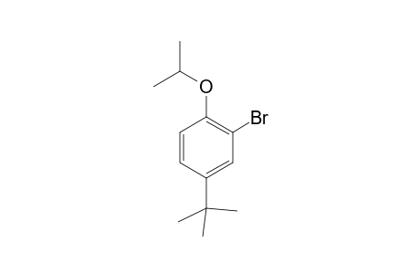 4-tert-Buyl-2-bromo-1-isopropyloxybenzene