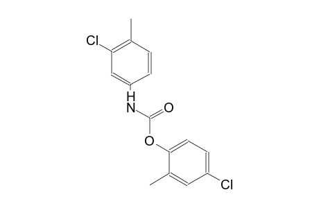 4-chloro-2-methylphenyl 3-chloro-4-methylphenylcarbamate