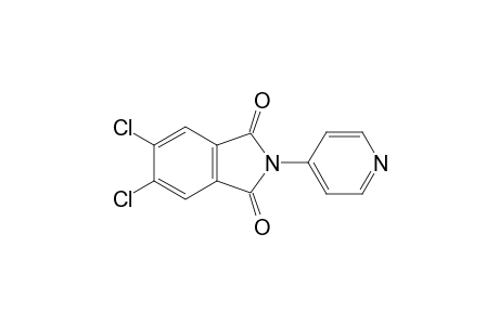 5,6-Dichloro-2-(pyridin-4-yl)isoindoline-1,3-dione