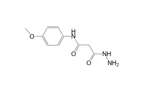 3-hydrazino-N-(4-methoxyphenyl)-3-oxopropanamide