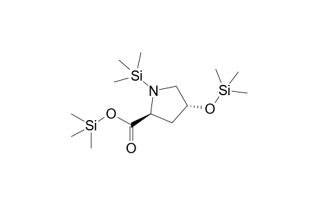 trans-4-hydroxy-proline, 3TMS