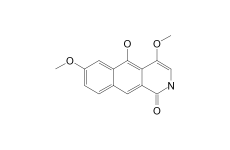 ENKLEINE