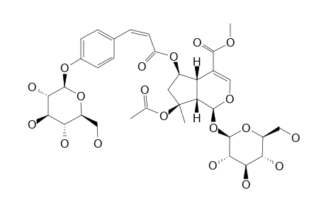 SALETPANGPONOSIDE-B;6-O-(4''-O-BETA-D-GLUCOPYRANOSYL)-CIS-PARA-COUMAROYL-8-O-ACETYL-SHANZHISIDE-METHYLESTER