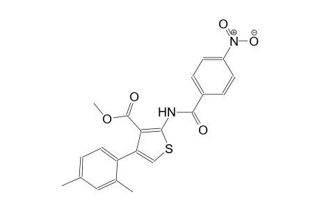 methyl 4-(2,4-dimethylphenyl)-2-[(4-nitrobenzoyl)amino]-3-thiophenecarboxylate