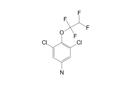 3,5-DICHLORO-4-(1,1,2,2-TETRAFLUOROETHOXY)-ANILINE