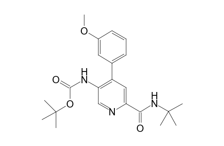 3-[6-[(1,1-Dimethylethylamino)carbonyl]-4-(3-methoxyphenyl)pyridinyl]carbamic acid (1,1-dimethylethyl) ester