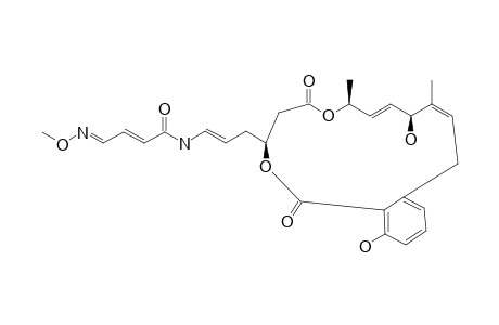 (E,4E)-N-[(E)-3-[(3Z,5S,6E,8S,12S)-5,16-dihydroxy-10,14-diketo-4,8-dimethyl-9,13-dioxabicyclo[13.4.0]nonadeca-1(15),3,6,16,18-pentaen-12-yl]prop-1-enyl]-4-methoxyimino-but-2-enamide
