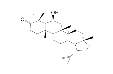 6beta-HYDROXY-3-OXO-LUP-20(29)-ENE