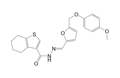 N'-((E)-{5-[(4-methoxyphenoxy)methyl]-2-furyl}methylidene)-4,5,6,7-tetrahydro-1-benzothiophene-3-carbohydrazide