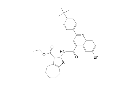 ethyl 2-({[6-bromo-2-(4-tert-butylphenyl)-4-quinolinyl]carbonyl}amino)-5,6,7,8-tetrahydro-4H-cyclohepta[b]thiophene-3-carboxylate