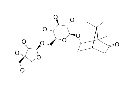 (1S,4S,6S)-6-HYDROXYCAMPHOR-BETA-D-APIOFURANOSYL-(1->6)-BETA-D-GLUCOPYRANOSIDE