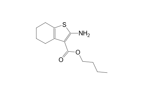 butyl 2-amino-4,5,6,7-tetrahydro-1-benzothiophene-3-carboxylate