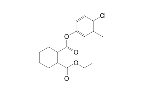 1,2-Cyclohexanedicarboxylic acid, 4-chloro-3-methylphenyl ethyl ester