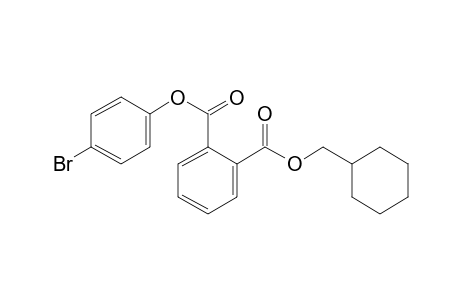 Phthalic acid, 4-bromophenyl cyclohexylmethyl ester