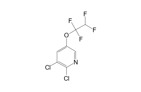 2,3-DICHLORO-5-(1,1,2,2-TETRAFLUOROETHOXY)-PYRIDINE