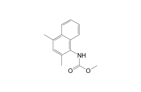 Carbamic acid, (2,4-dimethyl-1-naphthalenyl)-, methyl ester