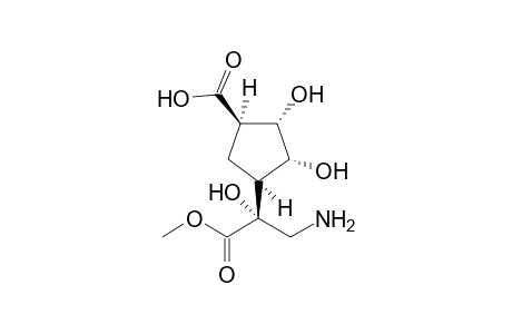 (-)-(1R,2S,3R,4S,1'S)-2,3-Dihydroxy-4-(1'-aminomethyl-1'-hydroxy-1'-methoxycarbonylmethyl)cyclopentane-1-carboxylic acid