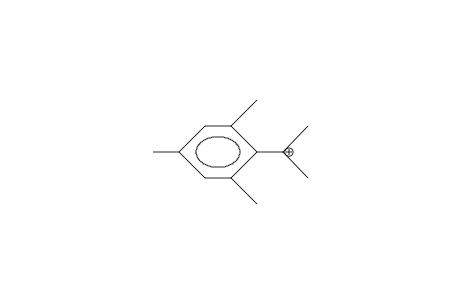 2-Mesityl-2-propyl cation