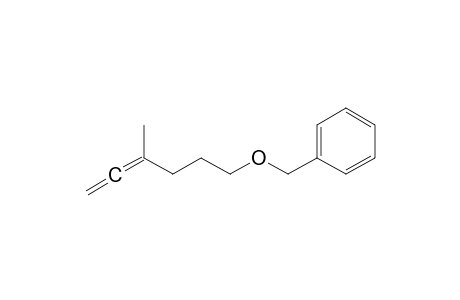 [(4-Methylhexa-4,5-dienyloxy)methyl]benzene