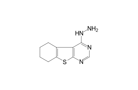 [1]Benzothieno[2,3-d]pyrimidine, 4-hydrazino-5,6,7,8-tetrahydro-