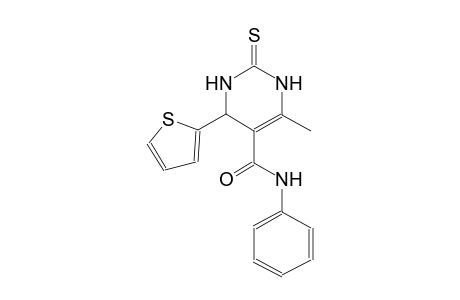 5-pyrimidinecarboxamide, 1,2,3,4-tetrahydro-6-methyl-N-phenyl-4-(2-thienyl)-2-thioxo-