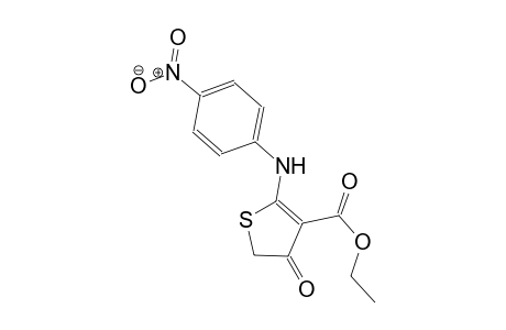 ethyl 2-(4-nitroanilino)-4-oxo-4,5-dihydro-3-thiophenecarboxylate