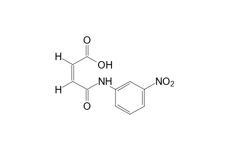 3'-nitromaleanilic acid