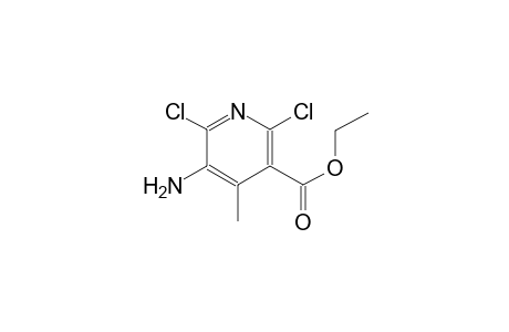 ethyl 5-amino-2,6-dichloro-4-methylnicotinate